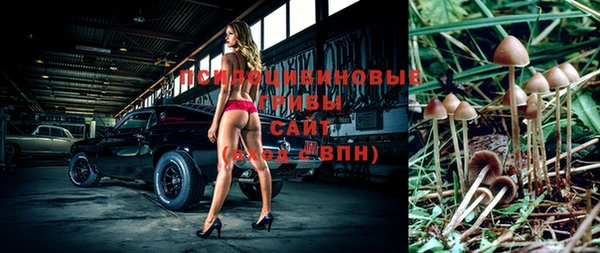 таблы Алексин