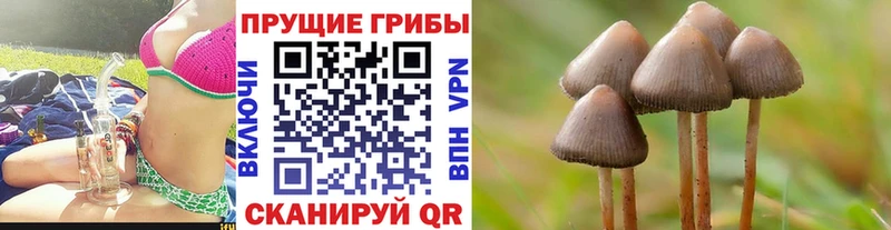 Галлюциногенные грибы ЛСД Купить закладки Бежецк